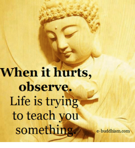 Buddha When It hurts Observe